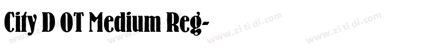 City D OT Medium Reg字体转换